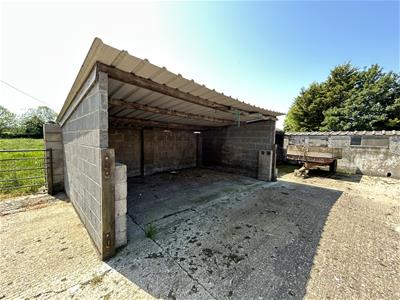 Picture 11